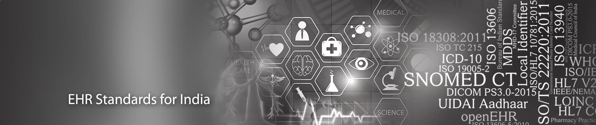 EHR Standards banner